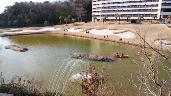 二の腕強化のためのカヌー