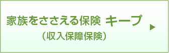 家族をささえる保険キープ（収入保障保険）