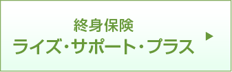 終身保険 ライズ・サポート・プラス